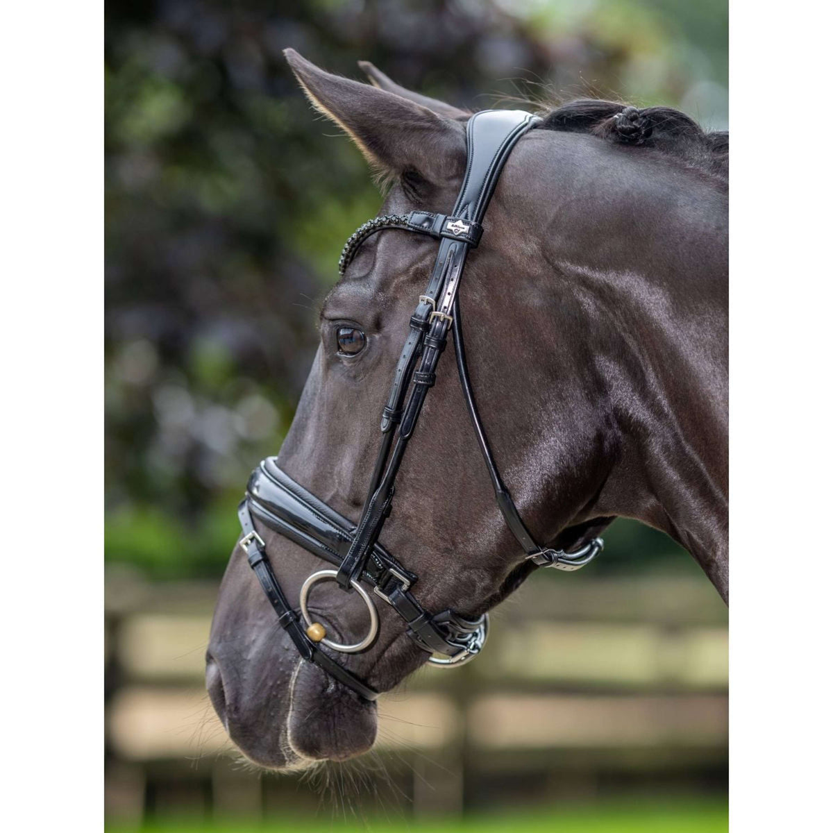 LeMieux Bridle Kudos Patent Dressage Black