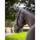 LeMieux Bridle Kudos Patent Dressage Black