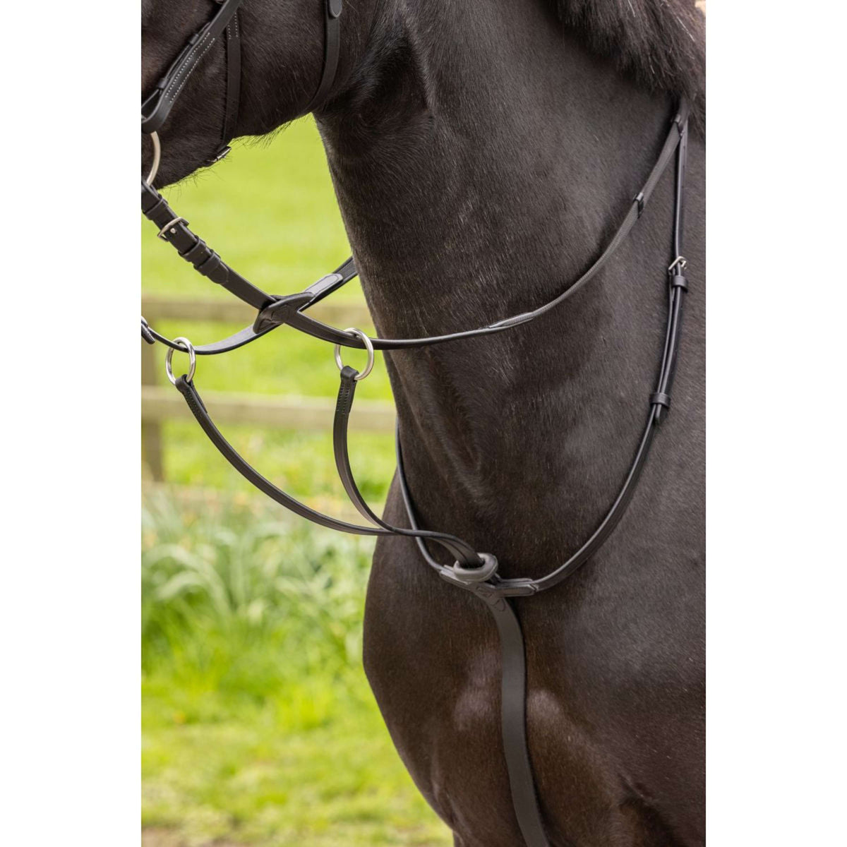 LeMieux Martingale Arika Running Black/Silver