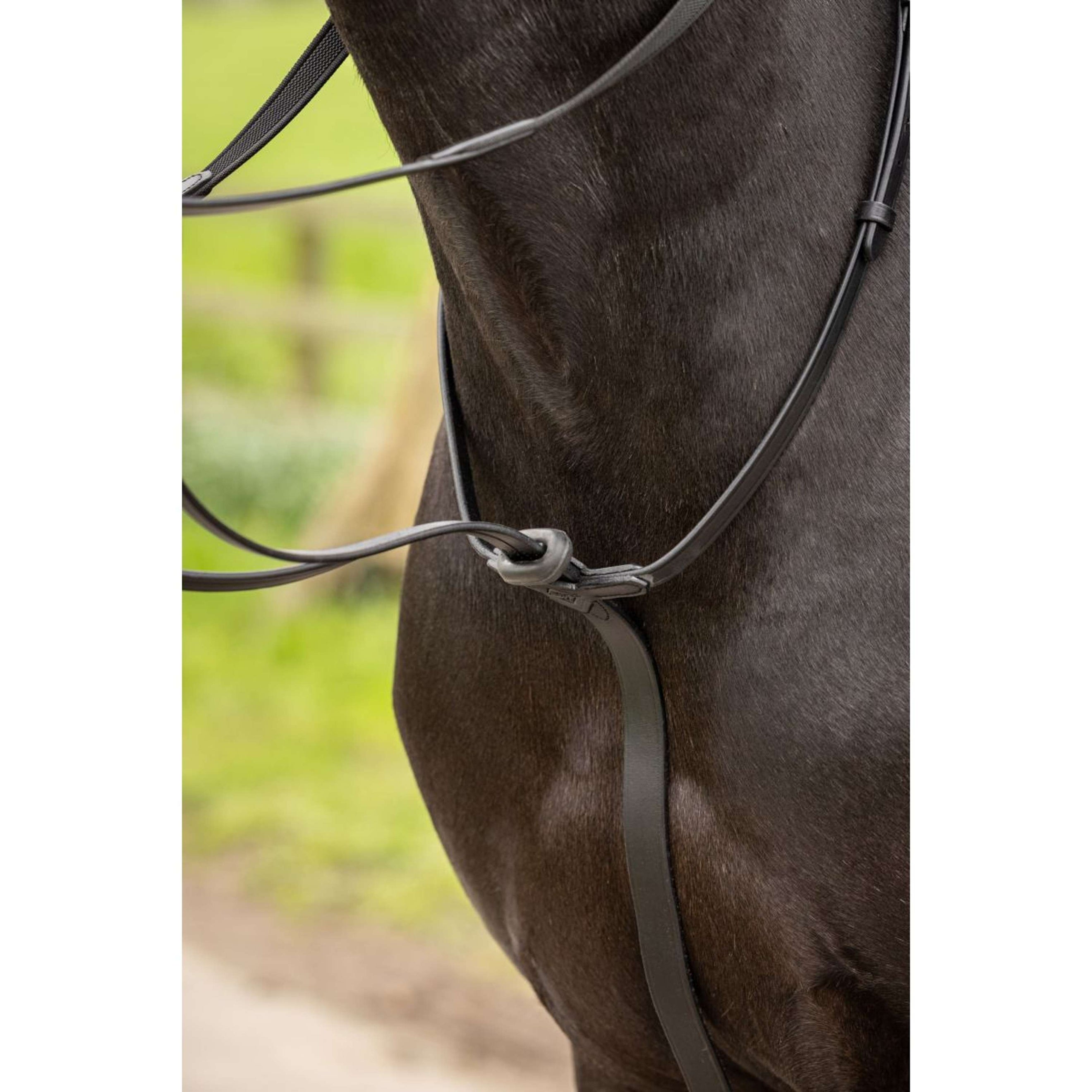 LeMieux Martingale Arika Running Black/Silver