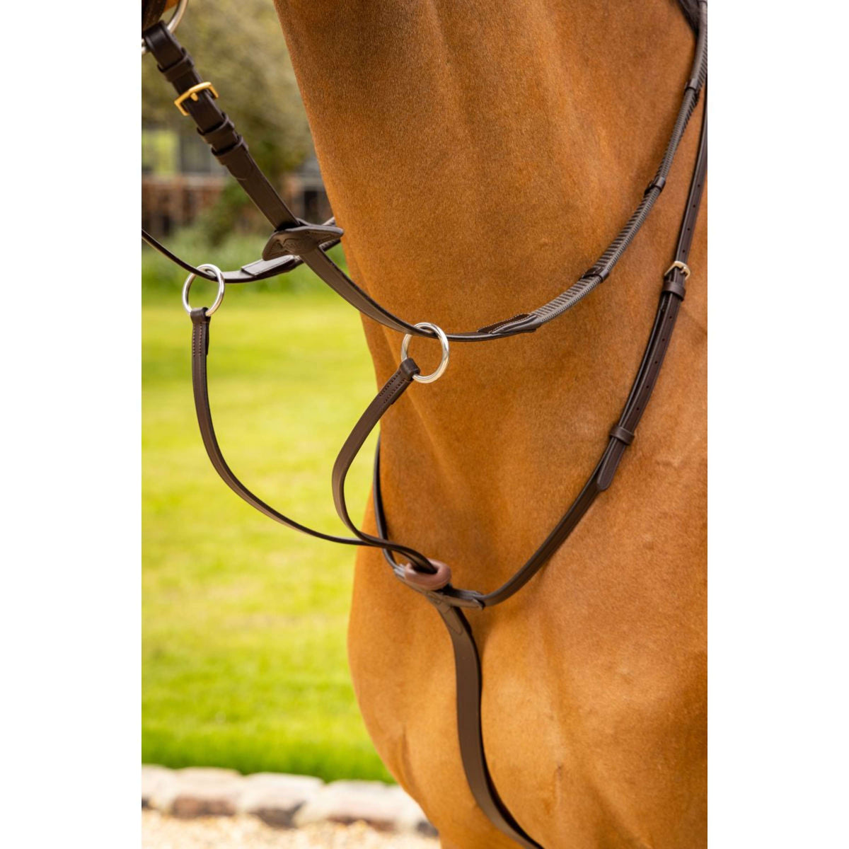 LeMieux Martingale Arika Running Brown/Silver