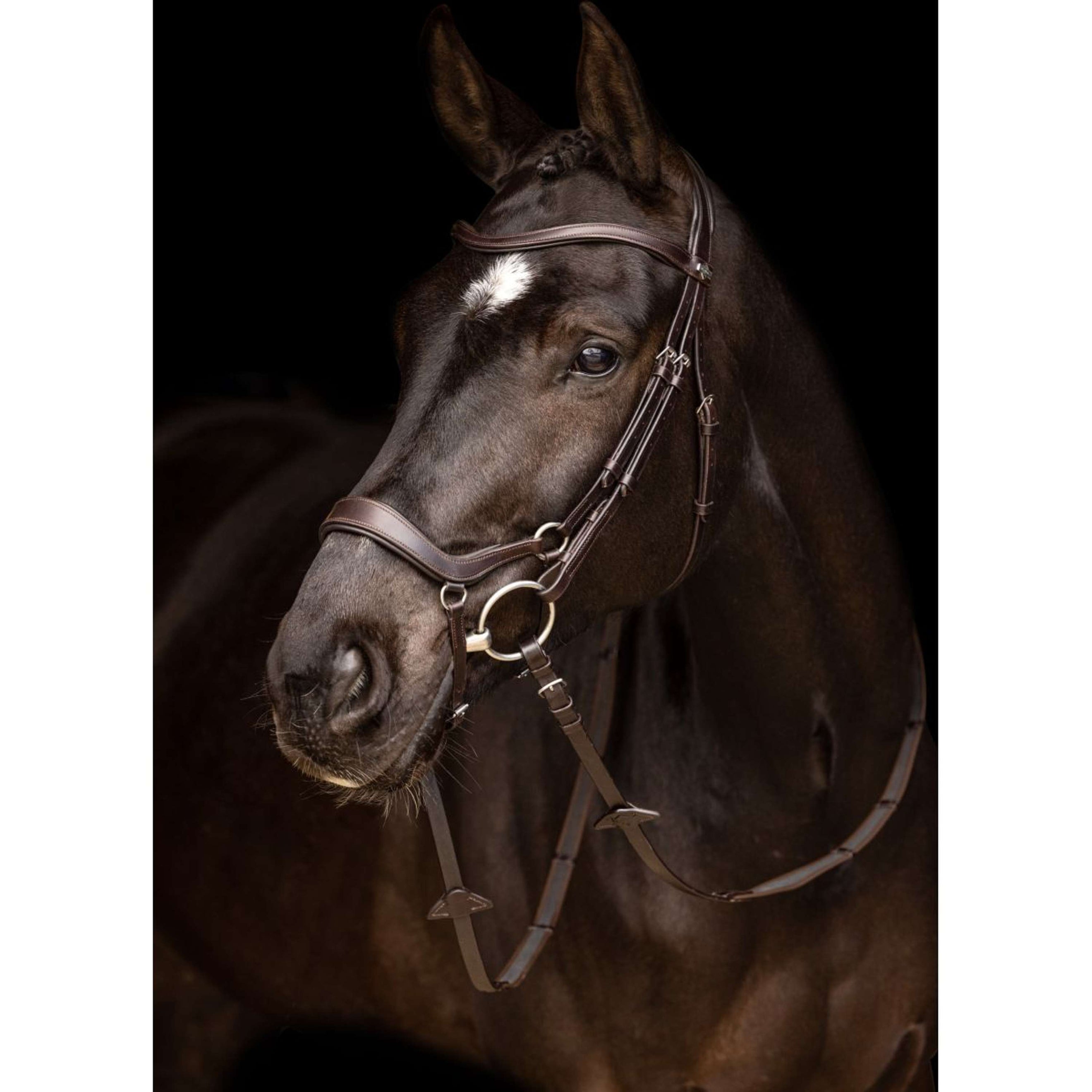 LeMieux Bridle Arika Drop Brown/Silver