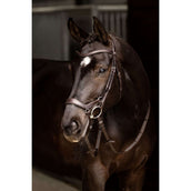 LeMieux Bridle Arika Drop Brown/Silver