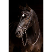 LeMieux Bridle Arika Drop Brown/Silver