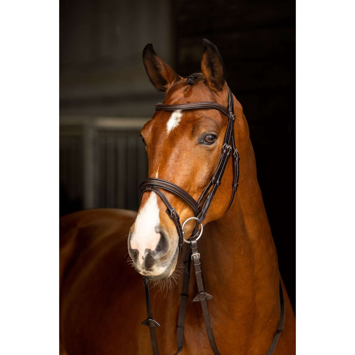 LeMieux Bridle Arika Flash Brown/Silver