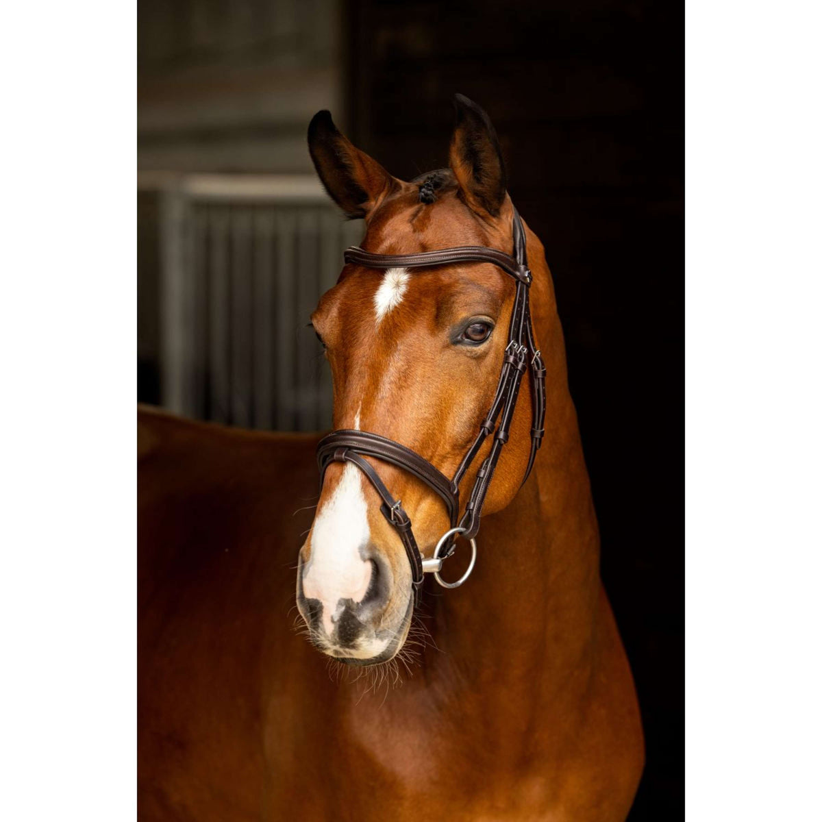 LeMieux Bridle Arika Flash Brown/Silver