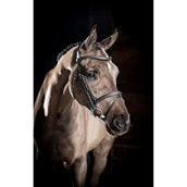 LeMieux Bridle Arika Flash Black/Silver