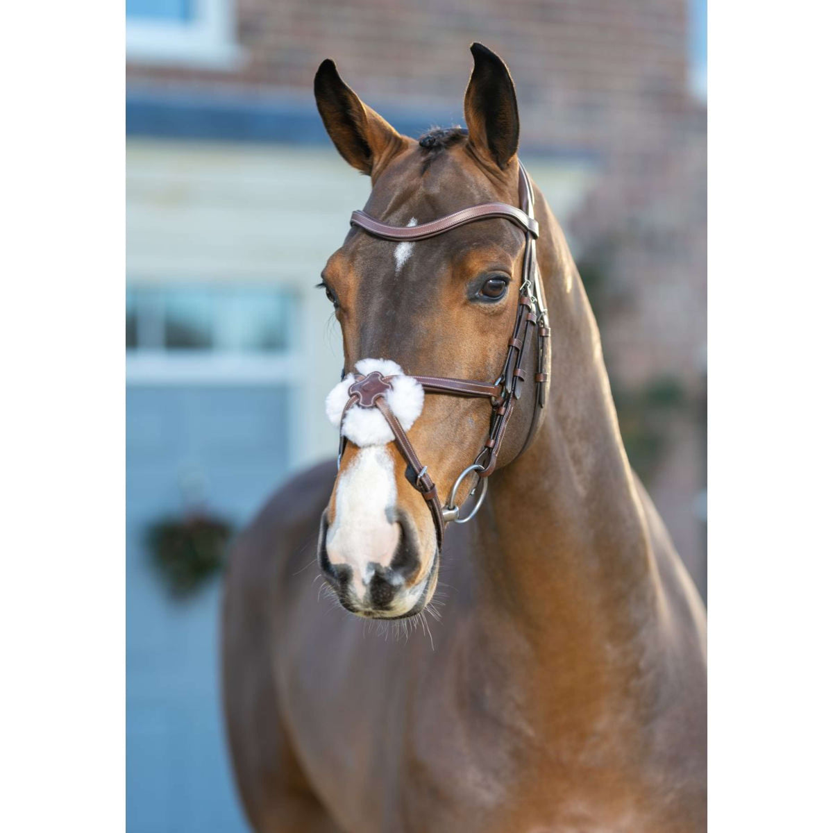 LeMieux Mexican bridle Arika Grackle Havana/Silver