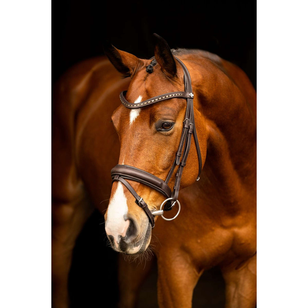 LeMieux Bridle Arika Dressage Brown/Silver