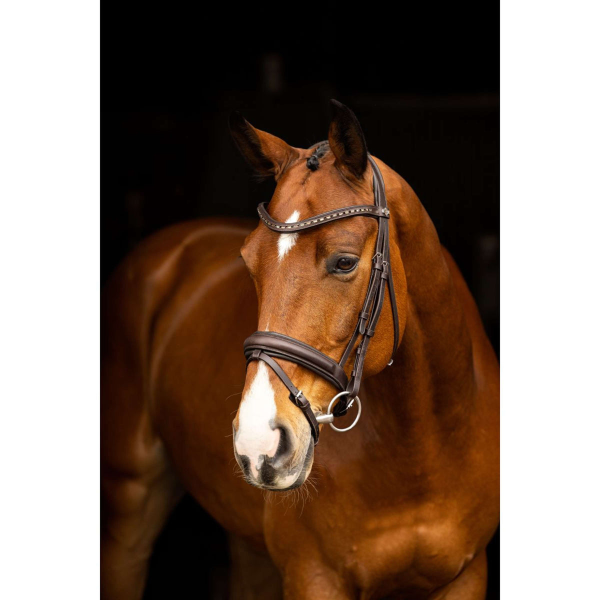 LeMieux Bridle Arika Dressage Brown/Silver