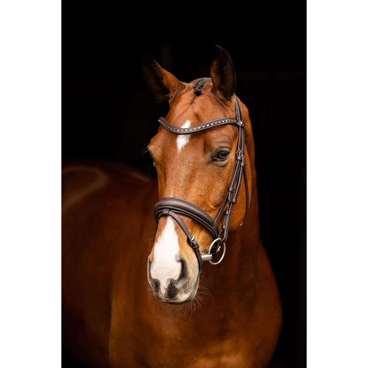 LeMieux Bridle Arika Dressage Brown/Silver