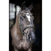 LeMieux Bridle Arika Dressage Black/Silver