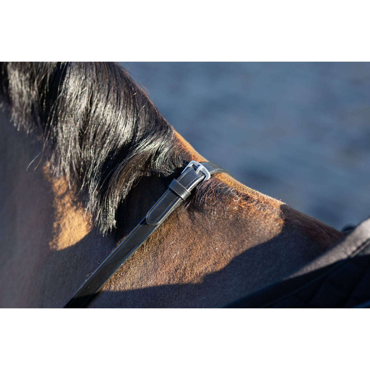 LeMieux Reins Arika Soft Rubber with Stopper Brown/Silver