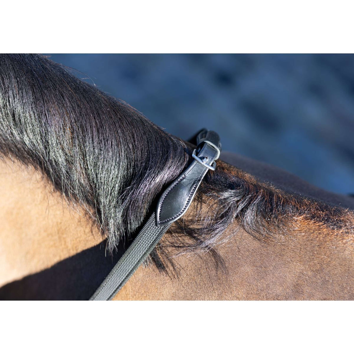 LeMieux Reins Arika Rubber Grip Continental Black/Silver