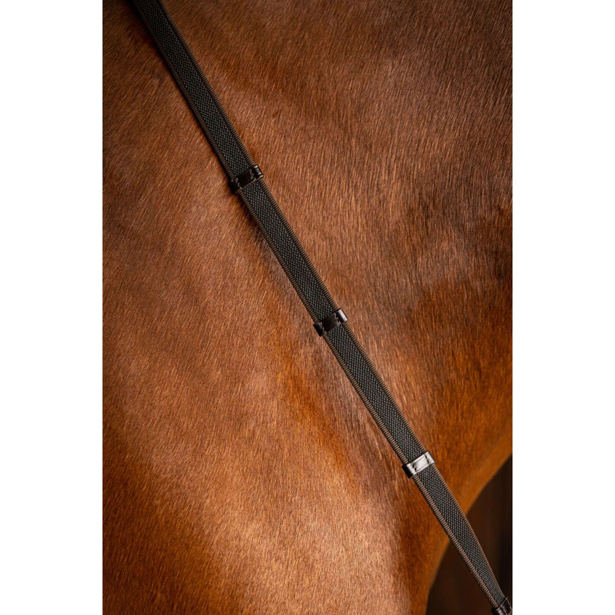 LeMieux Reins Arika Rubber Grip Continental Havana/Silver