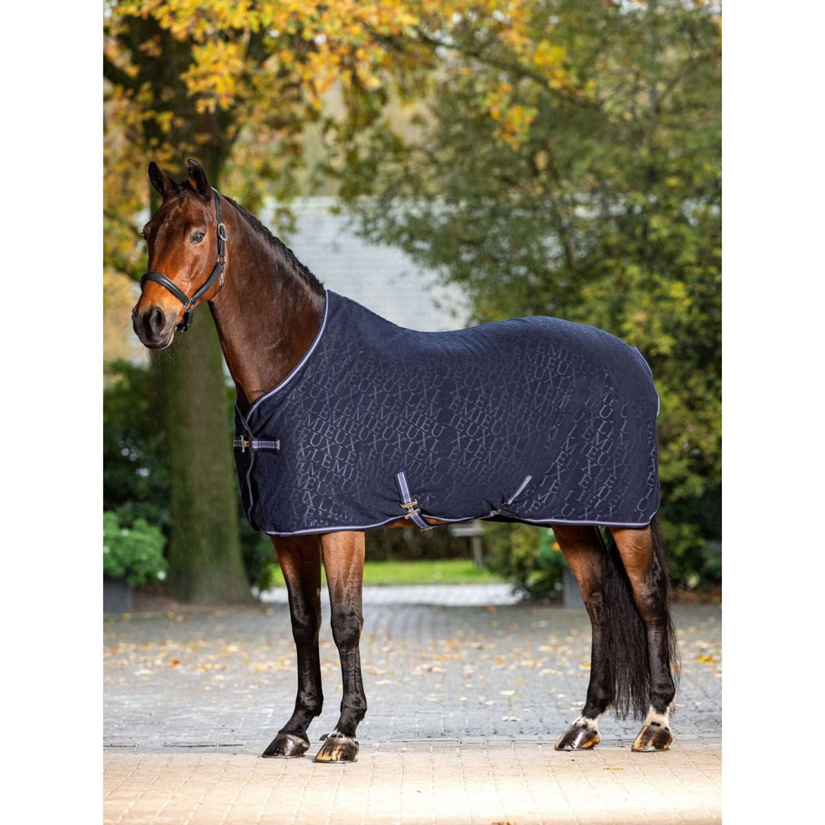 LeMieux Fleece Rug Navy