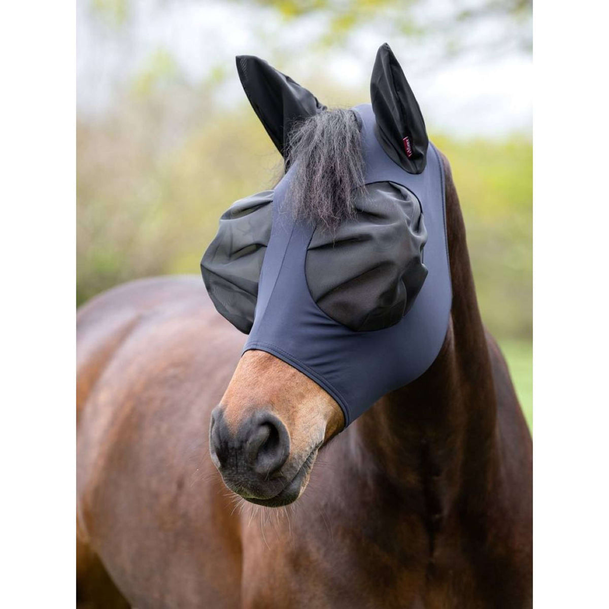 LeMieux Fly Mask Bug Relief Half Mask Jay Blue