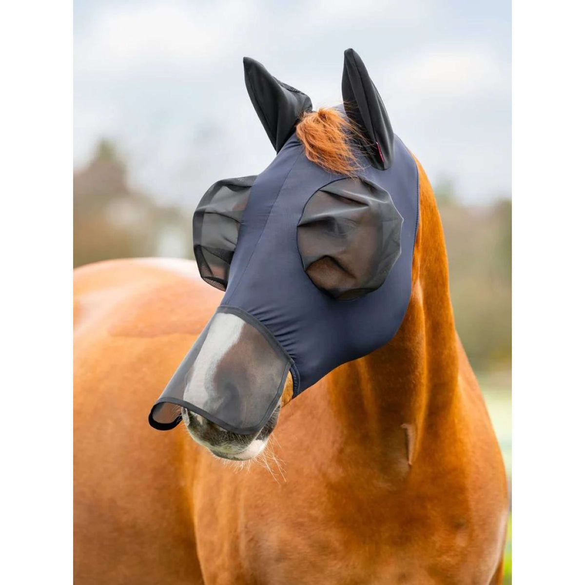 LeMieux Fly Mask Bug Relief Jay Blue