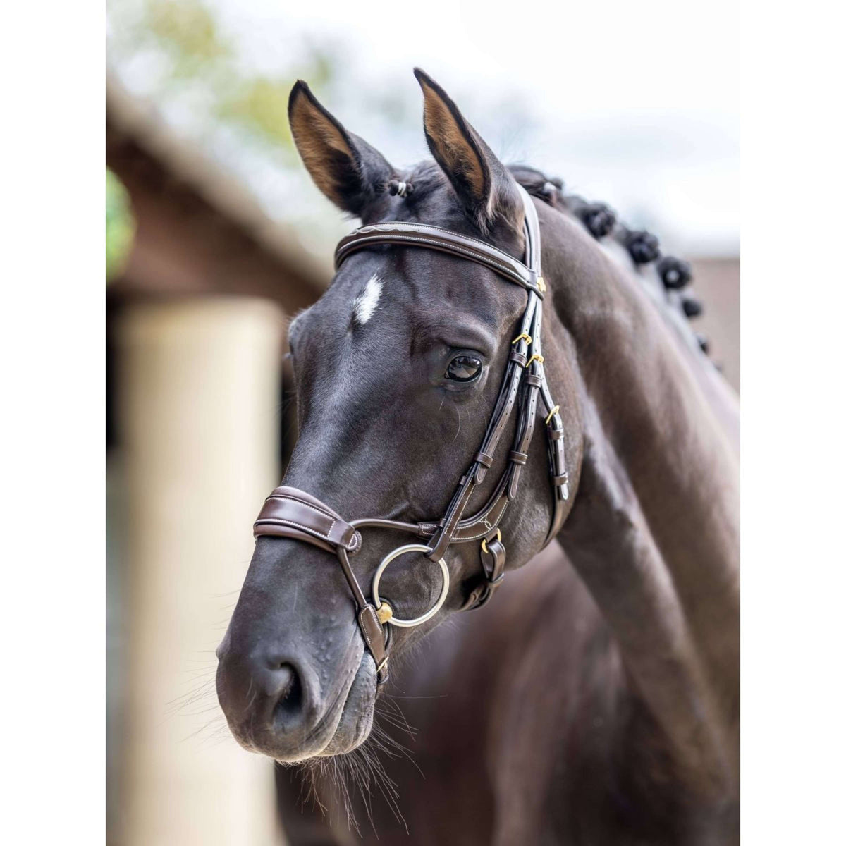 LeMieux Bridle Kudos Clear Arc Havana/Brass