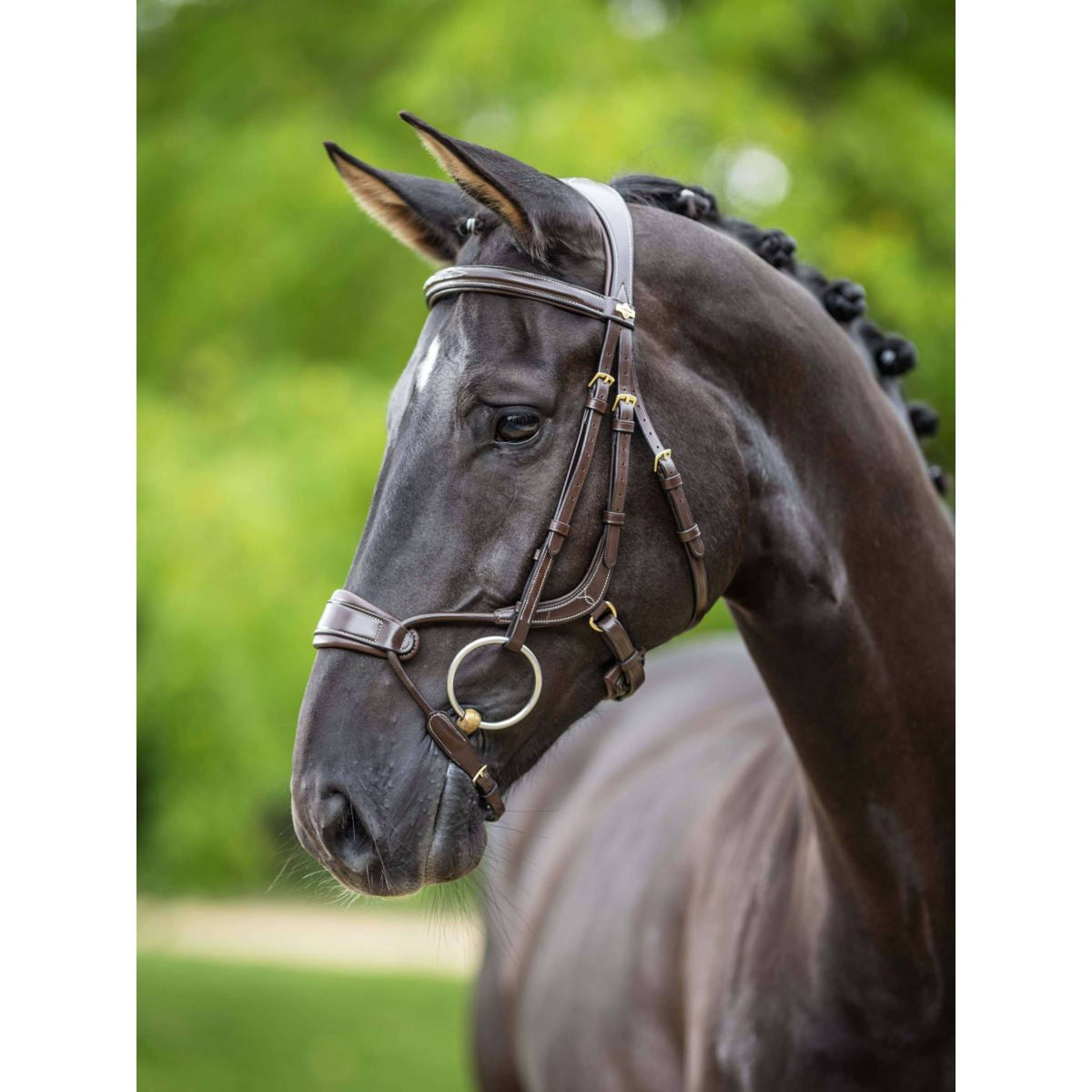 LeMieux Bridle Kudos Clear Arc Havana/Brass