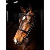 LeMieux Bridle Arika Cavesson Black/Silver