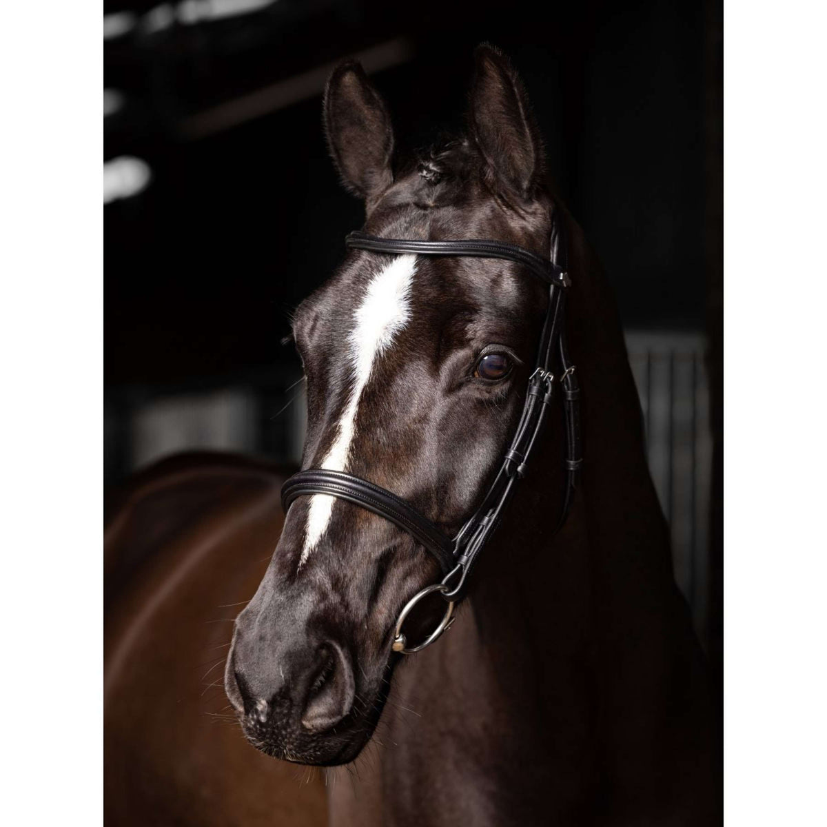 LeMieux Bridle Arika Cavesson Black/Silver