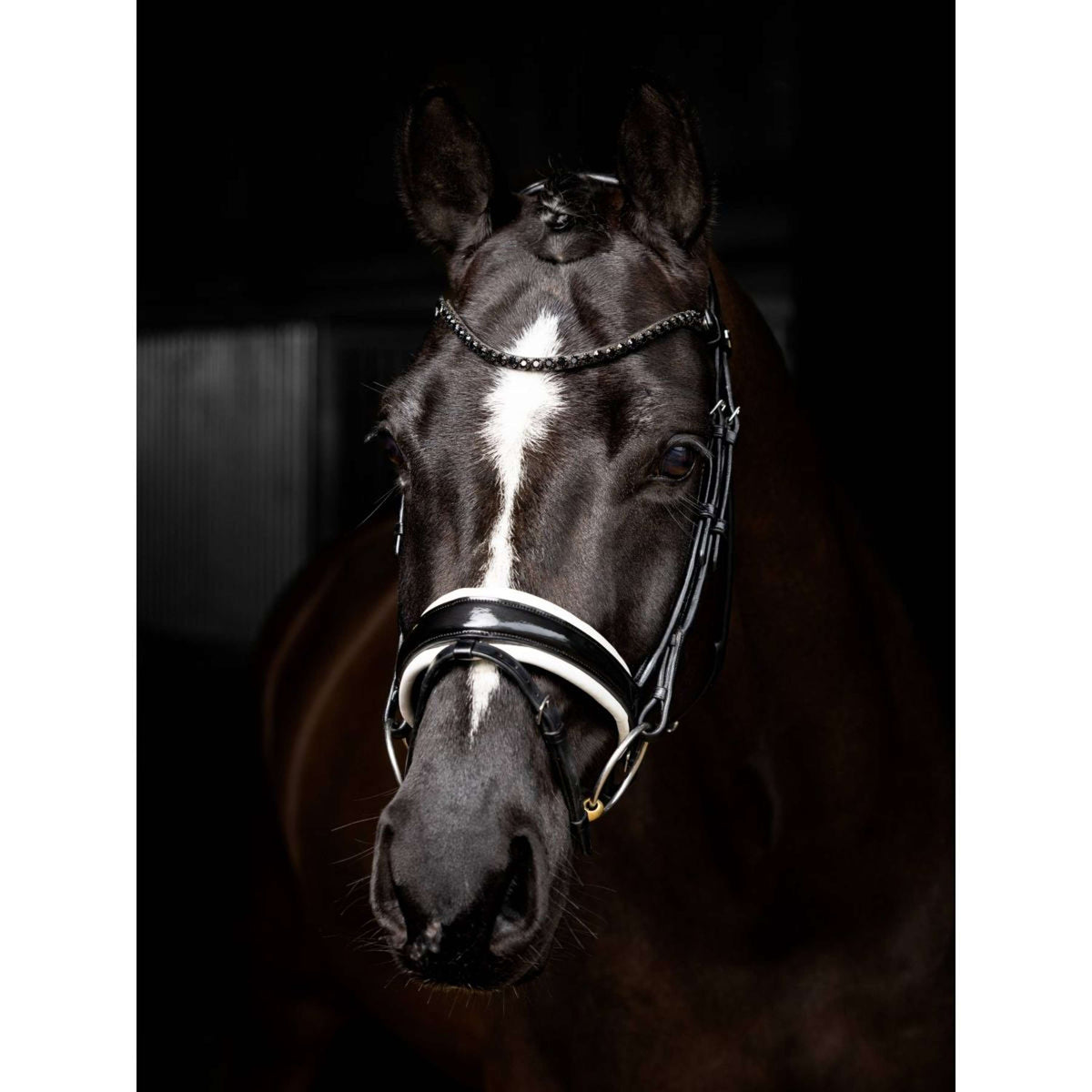 LeMieux Bridle Kudos Patent Dressage Black/Silver