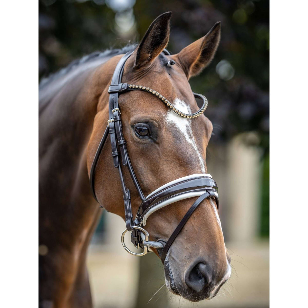 LeMieux Bridle Kudos Patent Dressage Brown/White