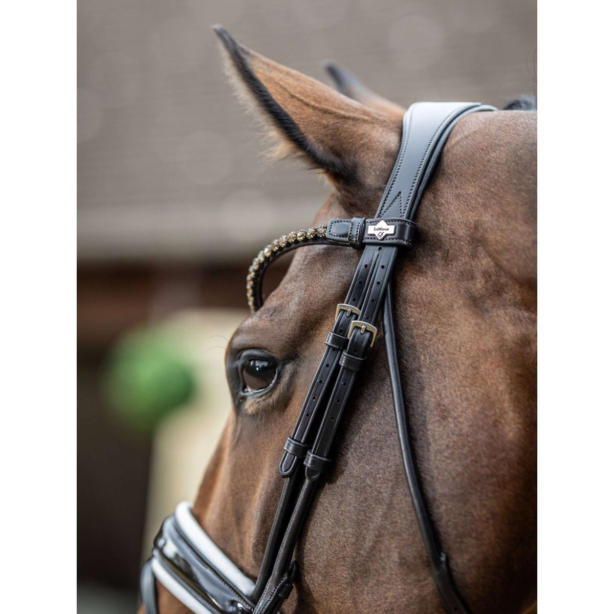 LeMieux Bridle Kudos Patent Dressage Brown/White