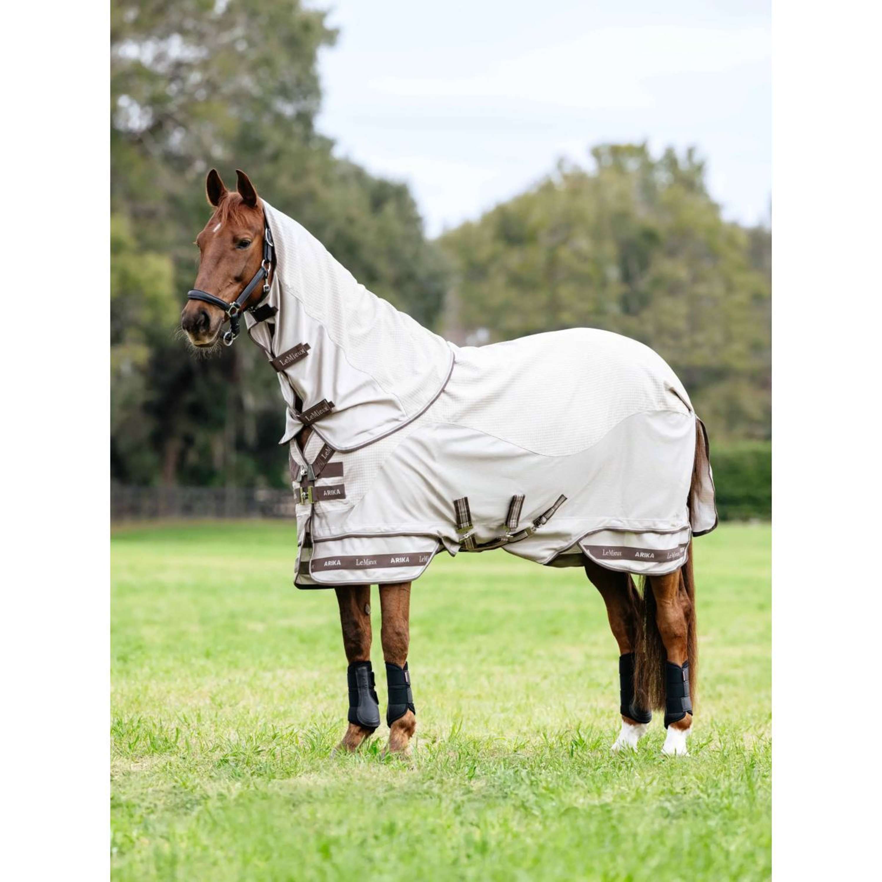LeMieux Summer Rug Arika Sunstopper Stone