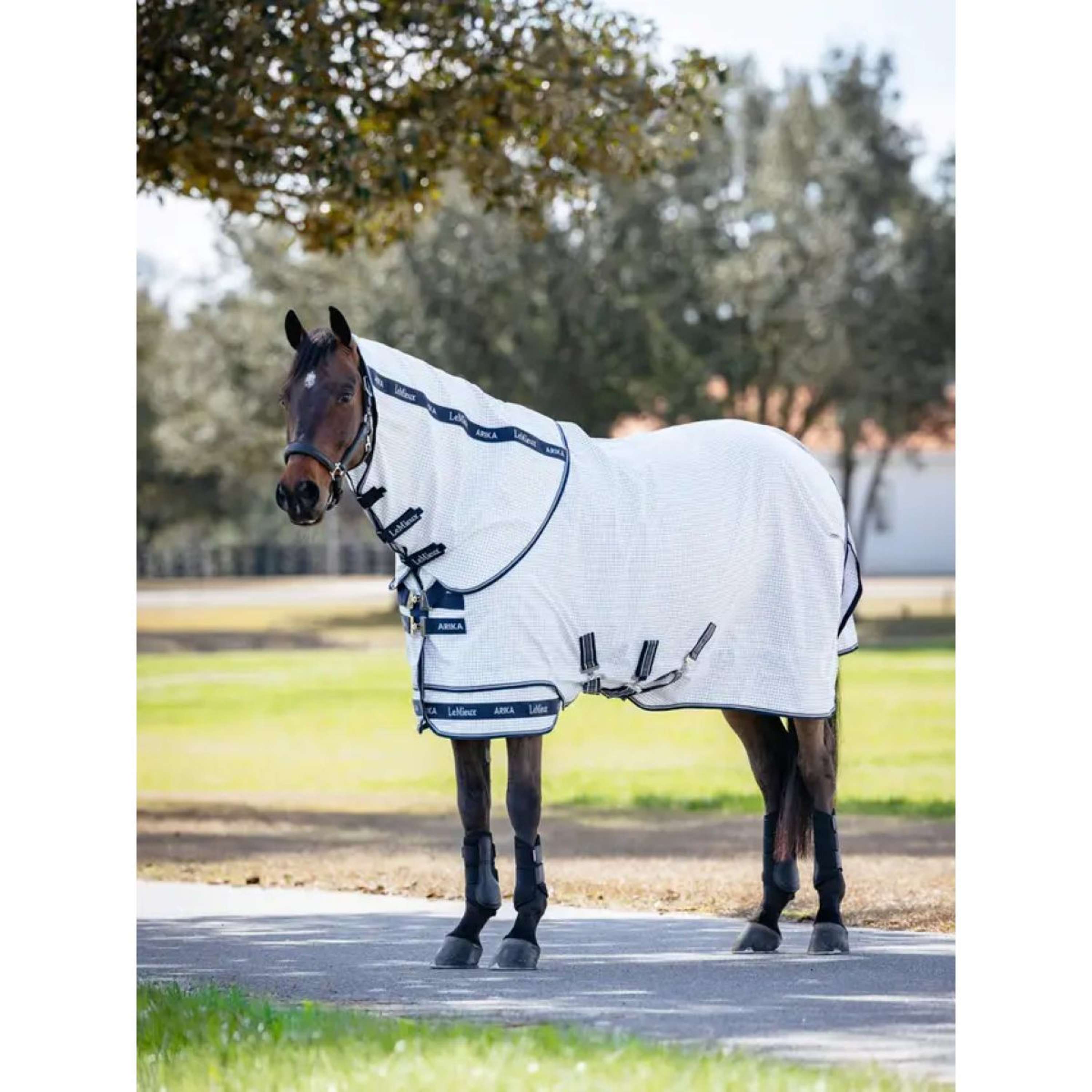 LeMieux Summer Rug Arika Field White