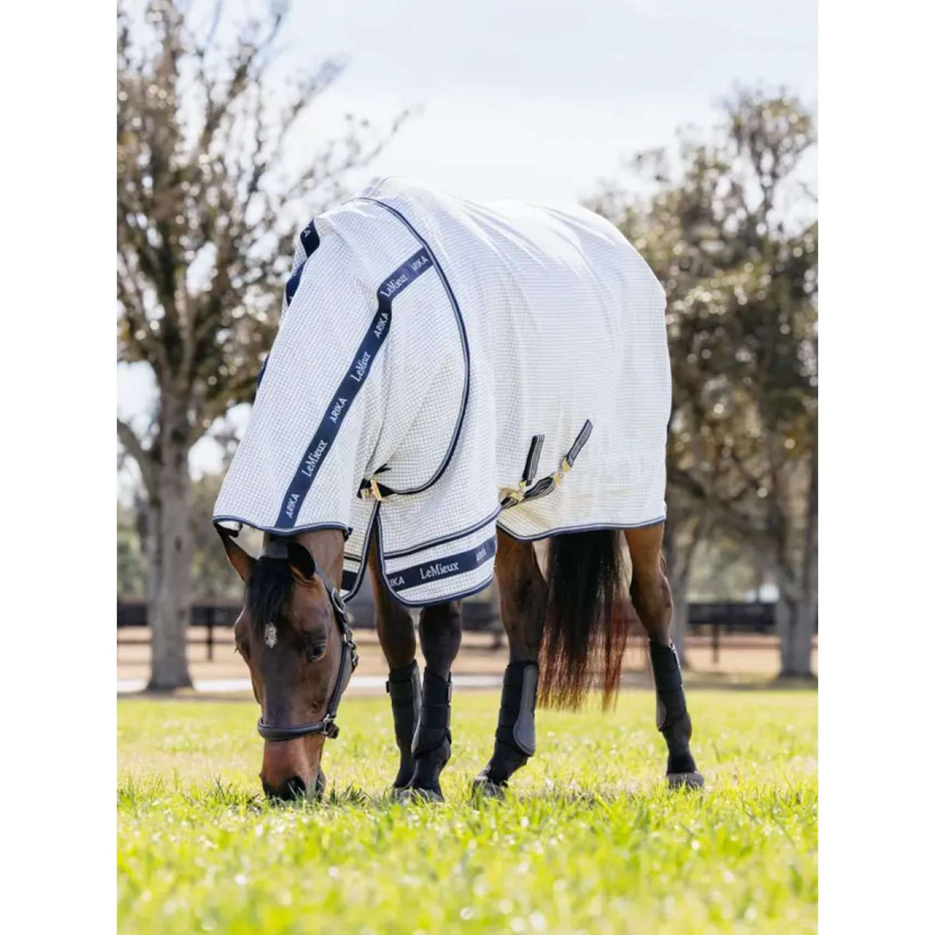 LeMieux Summer Rug Arika Field White