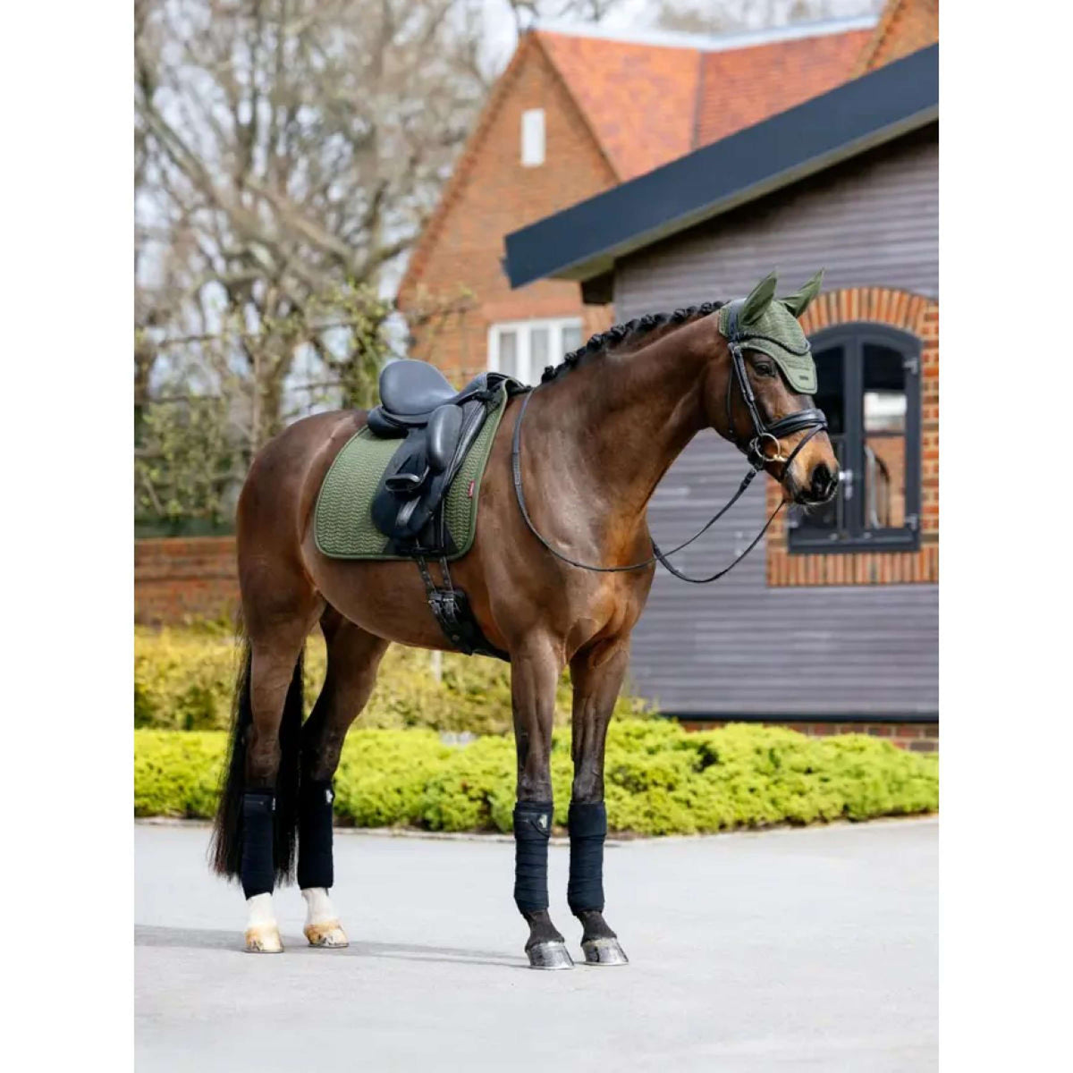 LeMieux Ear Bonnet Essence Pine Green