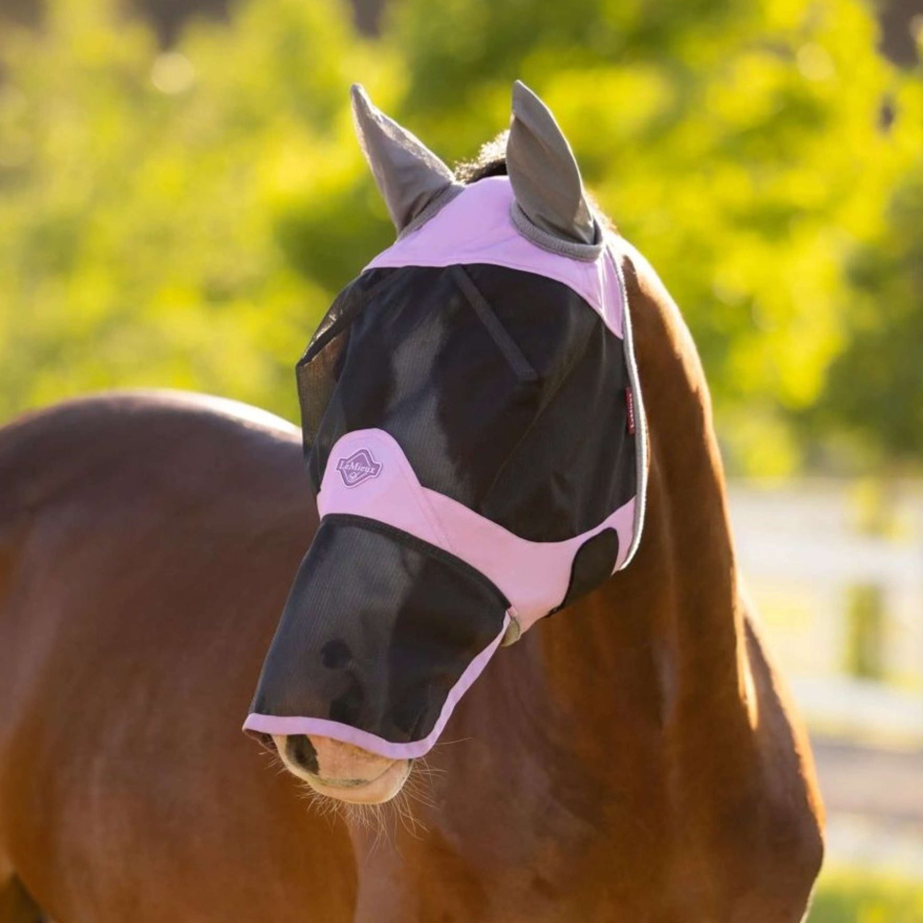 LeMieux Fly Mask Visor-Tek With Nose Protection Fondant