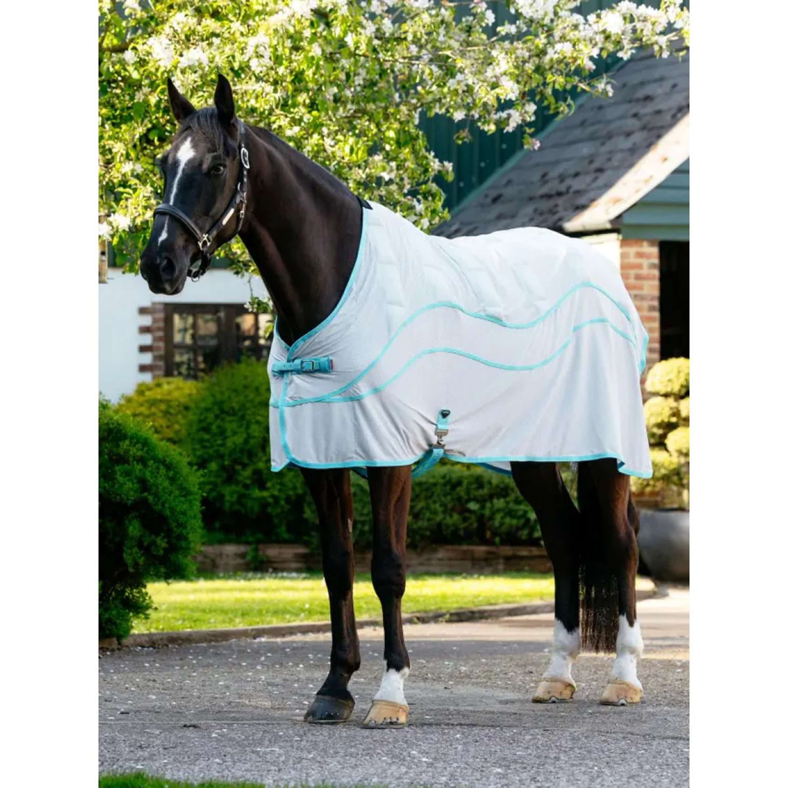 LeMieux Cooler Crystal Grey