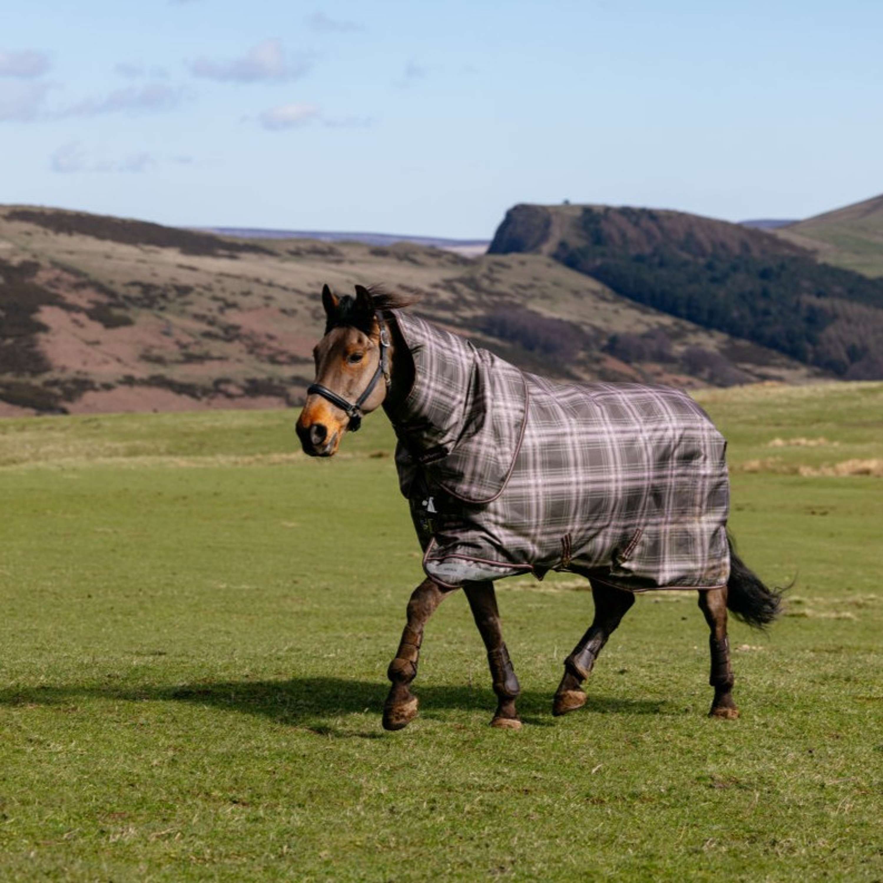 LeMieux Winter Rug Arika Heritage Check 100g Cocoa