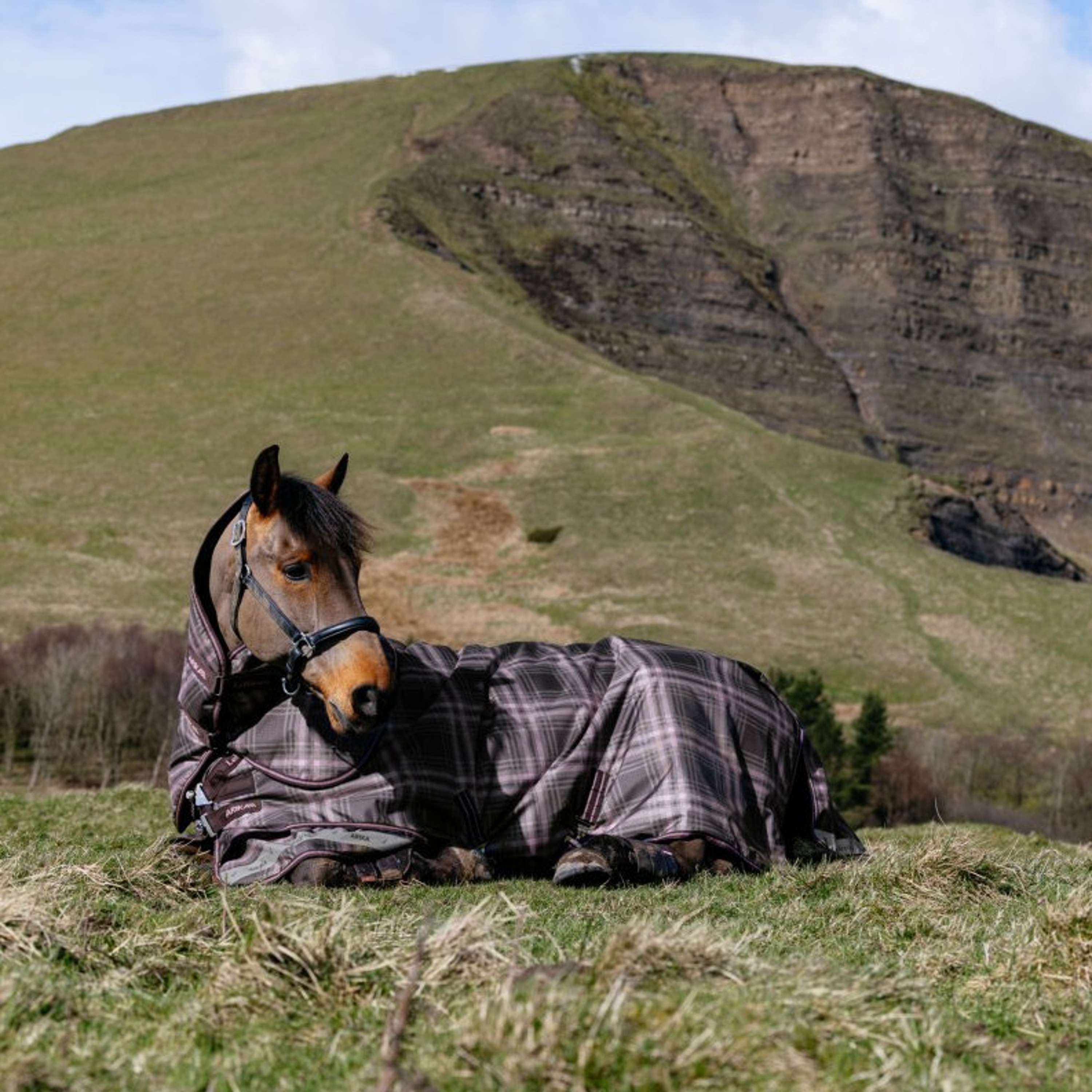 LeMieux Winter Rug Arika Heritage Check 100g Cocoa