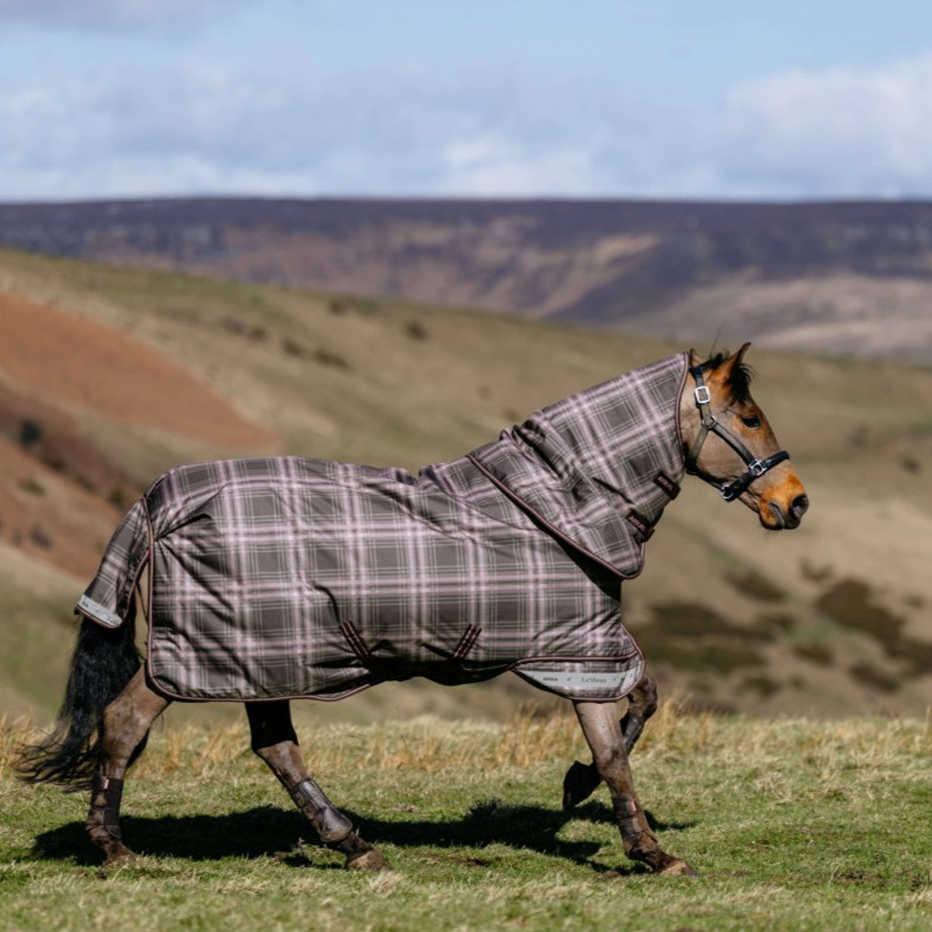 LeMieux Winter Rug Arika Heritage Check 100g Cocoa