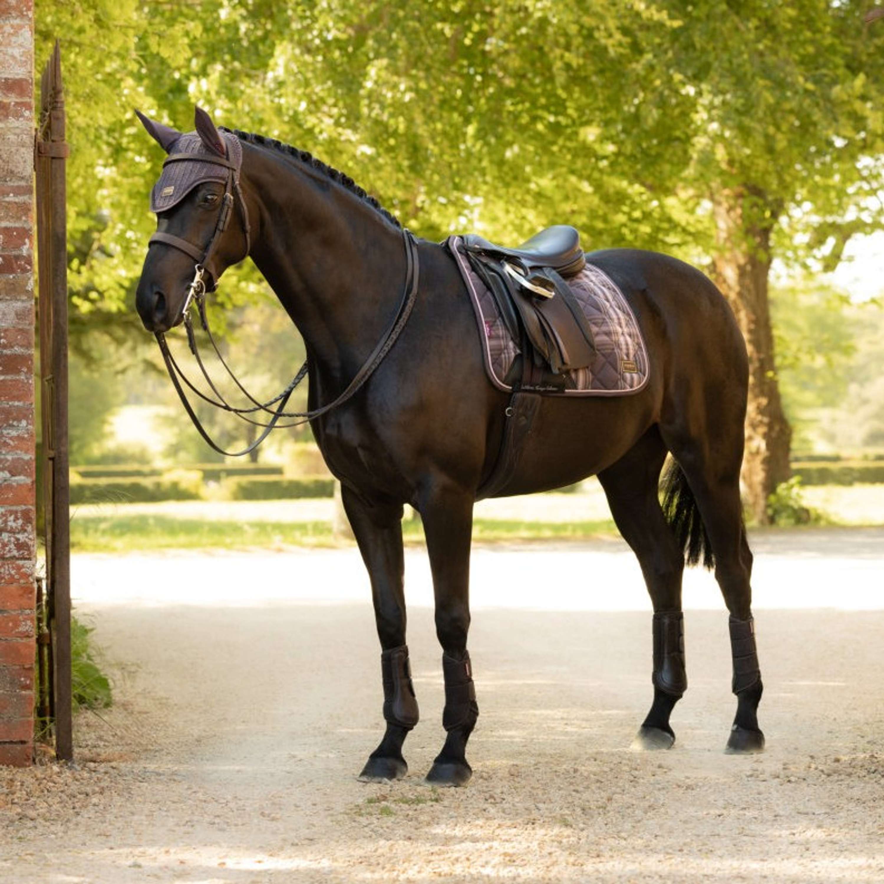LeMieux Saddlepad Heritage Check Square Dressage Cocoa