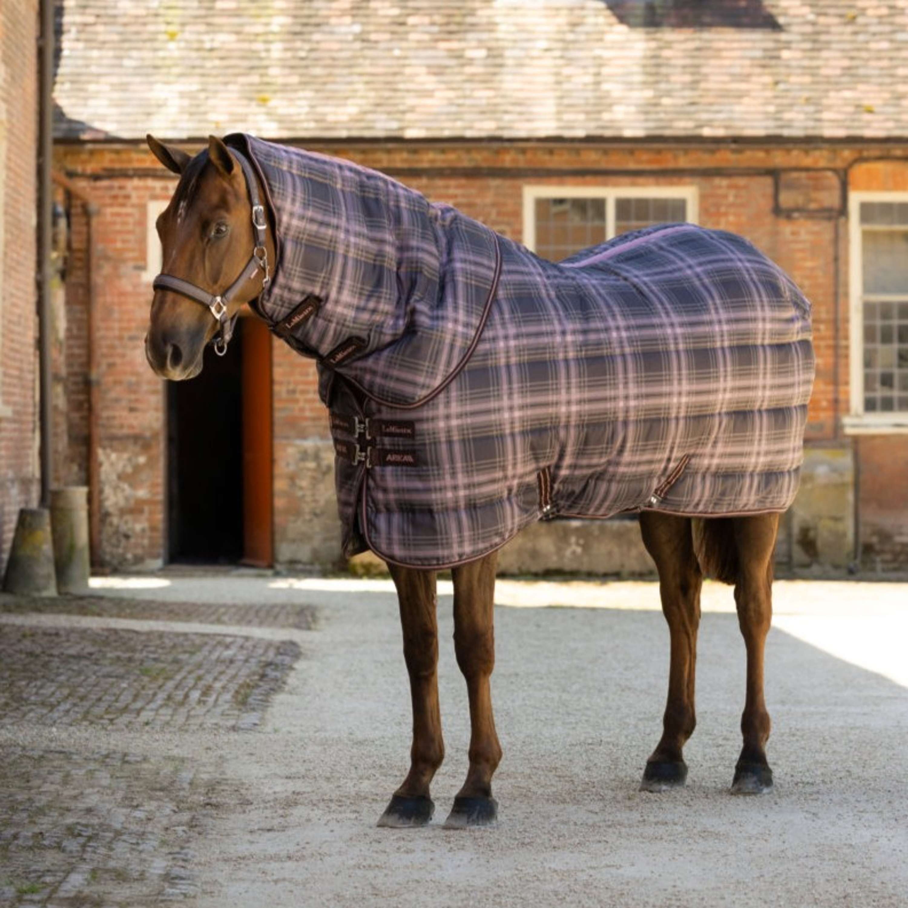 LeMieux Stable Rug Arika Heritage Check with Neck 200g Cocoa