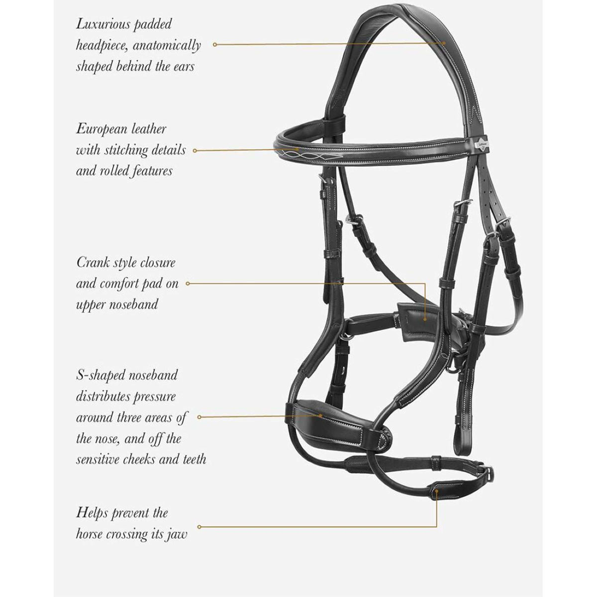 LeMieux Bridle Kudos Clear Arc Black/Silver