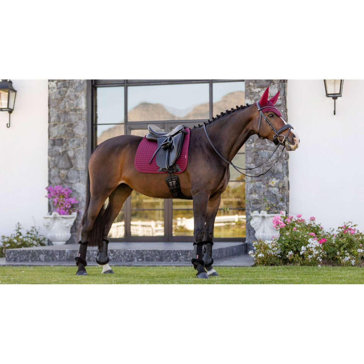 LeMieux Saddlepad Prosport Plain Square D-Ring Dressage Burgundy