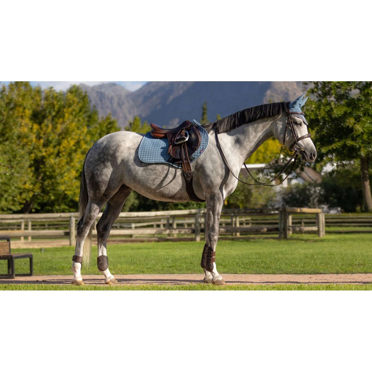 LeMieux Saddlepad Suede Square Close Contact Ice Blue