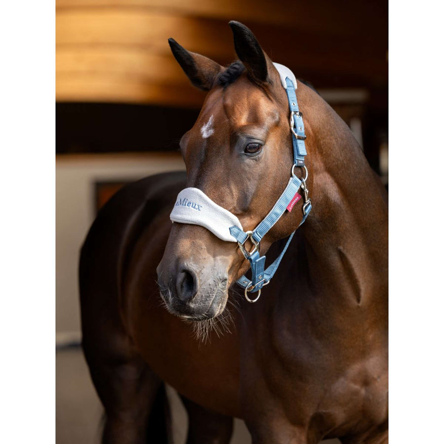 LeMieux Head Collar Set Vogue Ice Blue