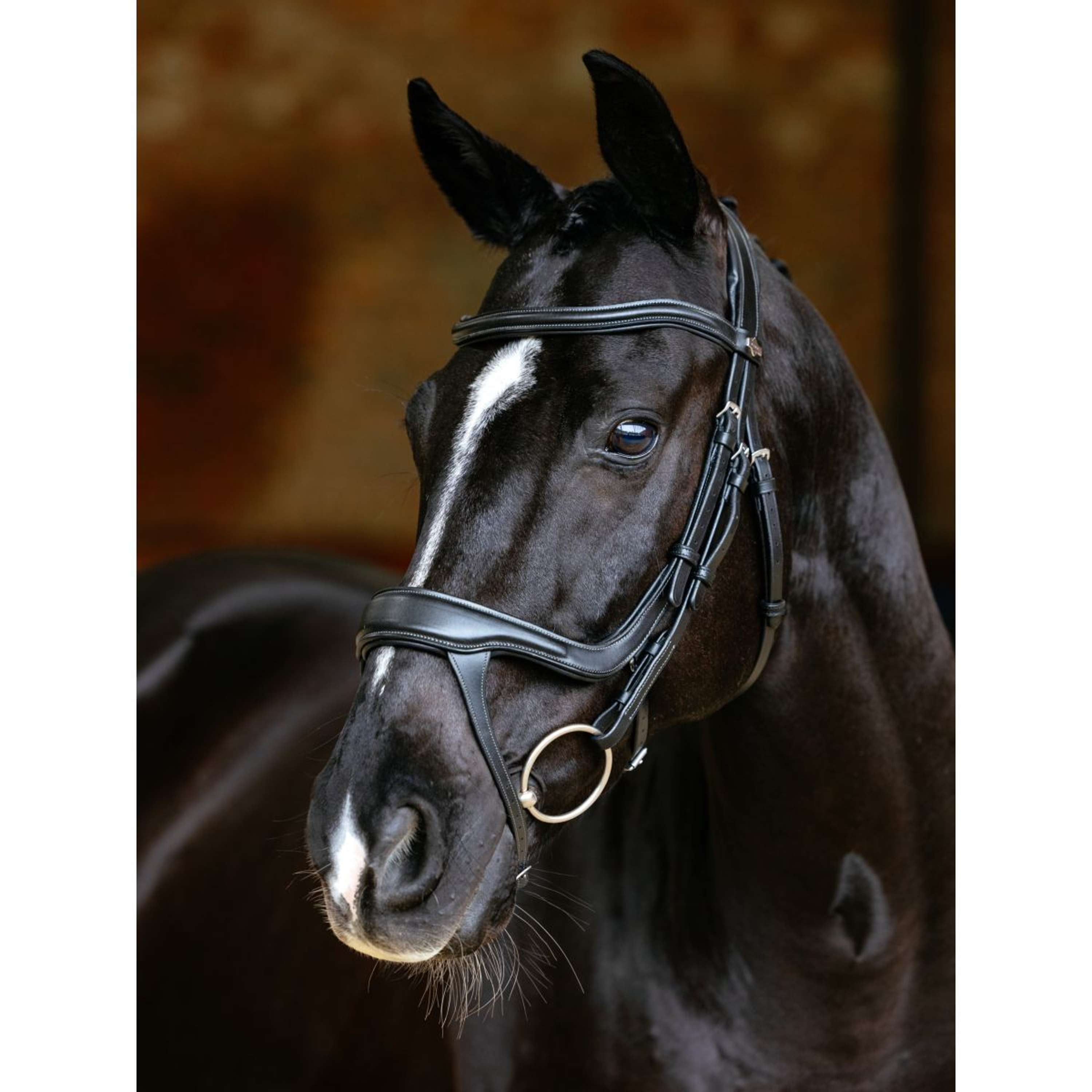 LeMieux Bridle Arika Split Noseband Black