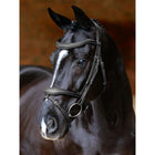 LeMieux Bridle Kudos Contour Flash Black