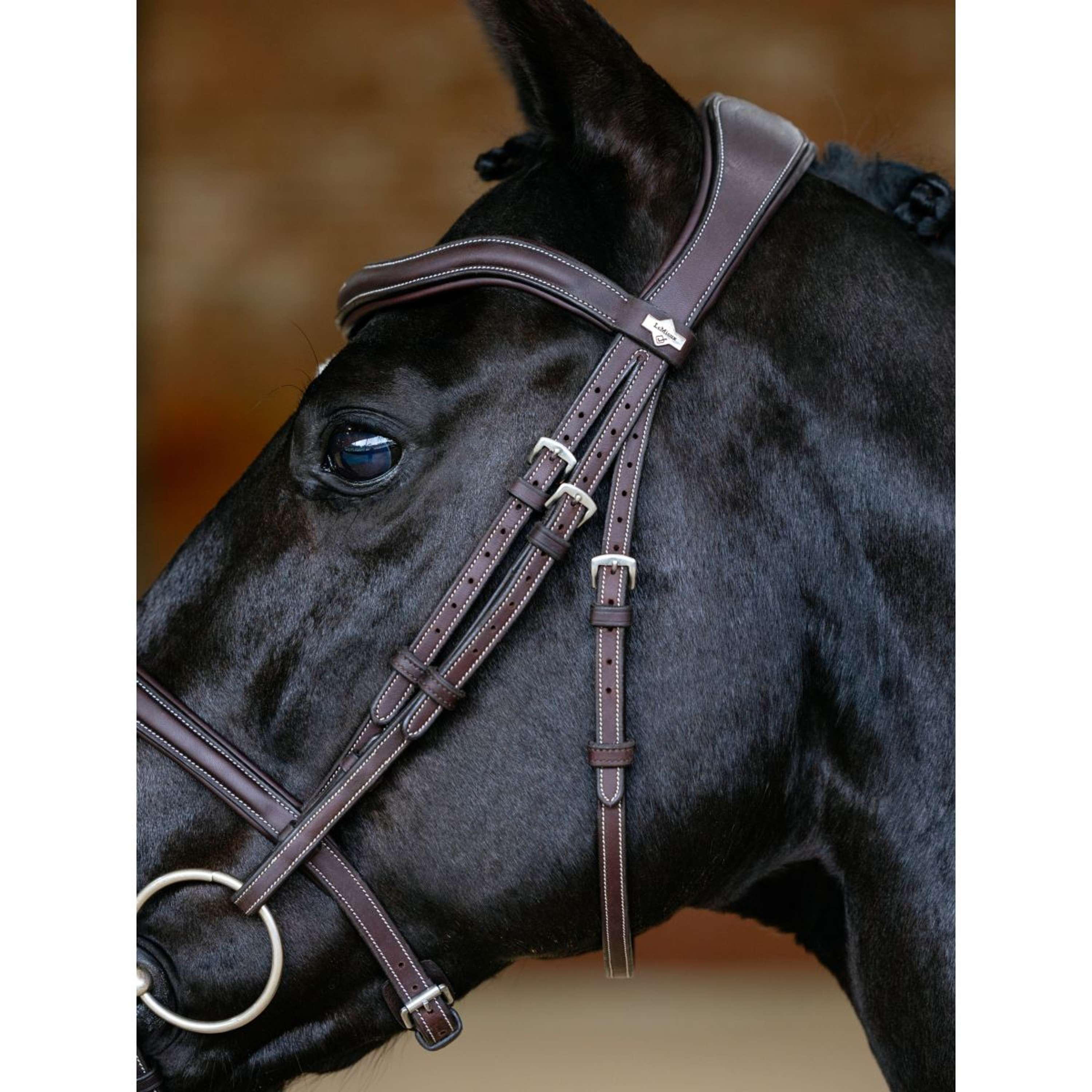 LeMieux Bridle Kudos Contour Flash Brown