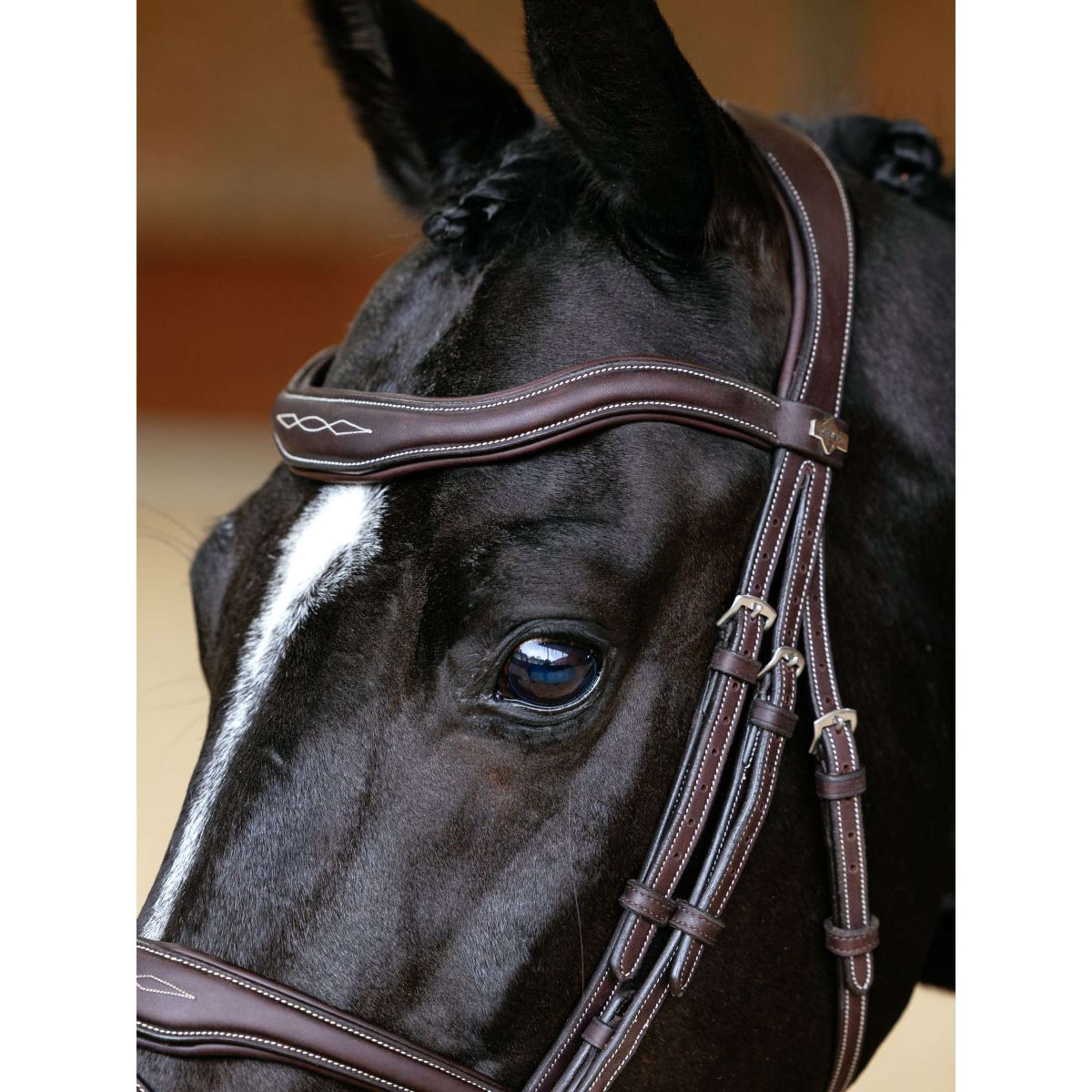 LeMieux Bridle Kudos Contour Flash Brown