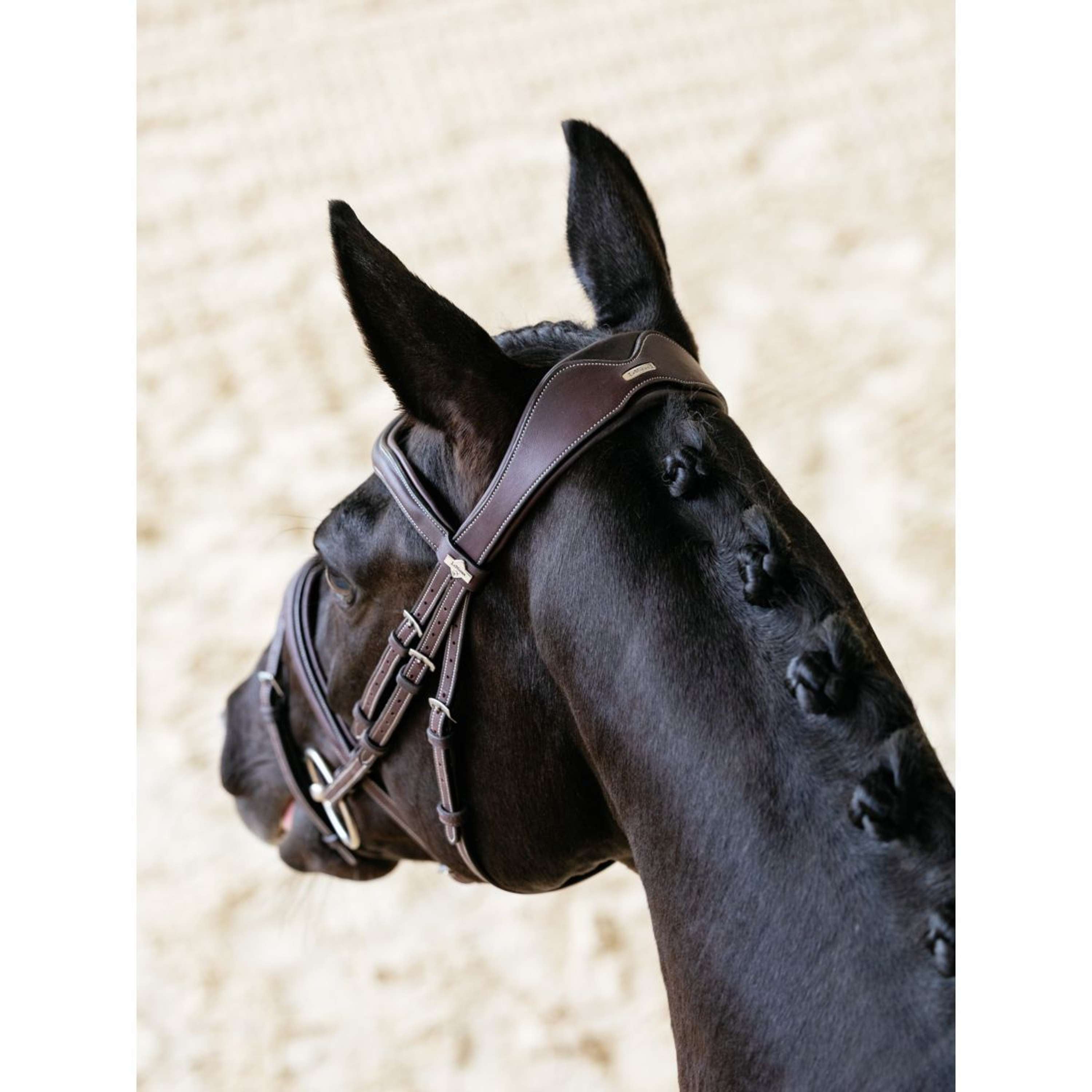 LeMieux Bridle Kudos Contour Flash Brown