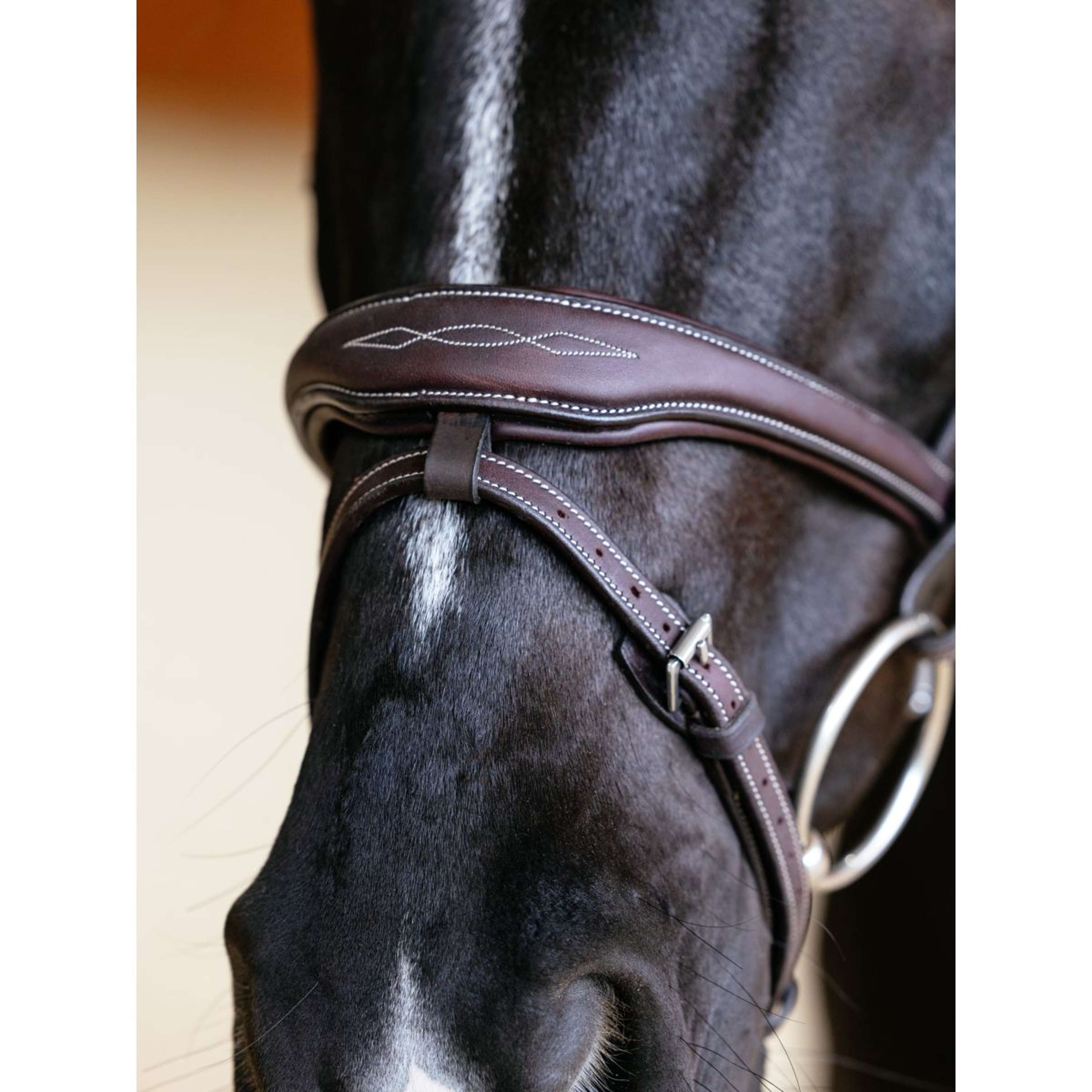 LeMieux Bridle Kudos Contour Flash Brown
